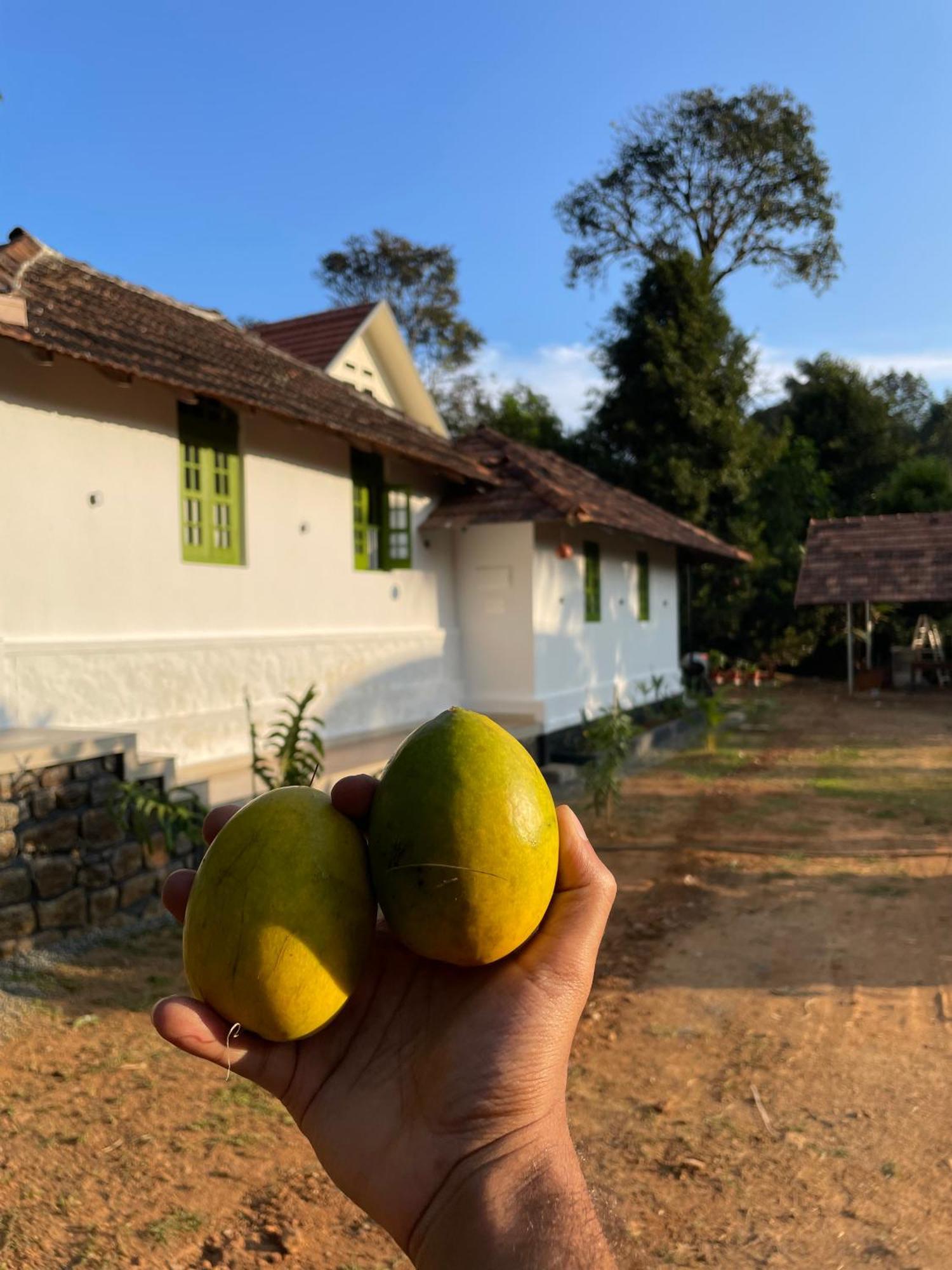 Calm Shack - 2 Bedroom-Boutique Farm Stay Munnar Exterior photo