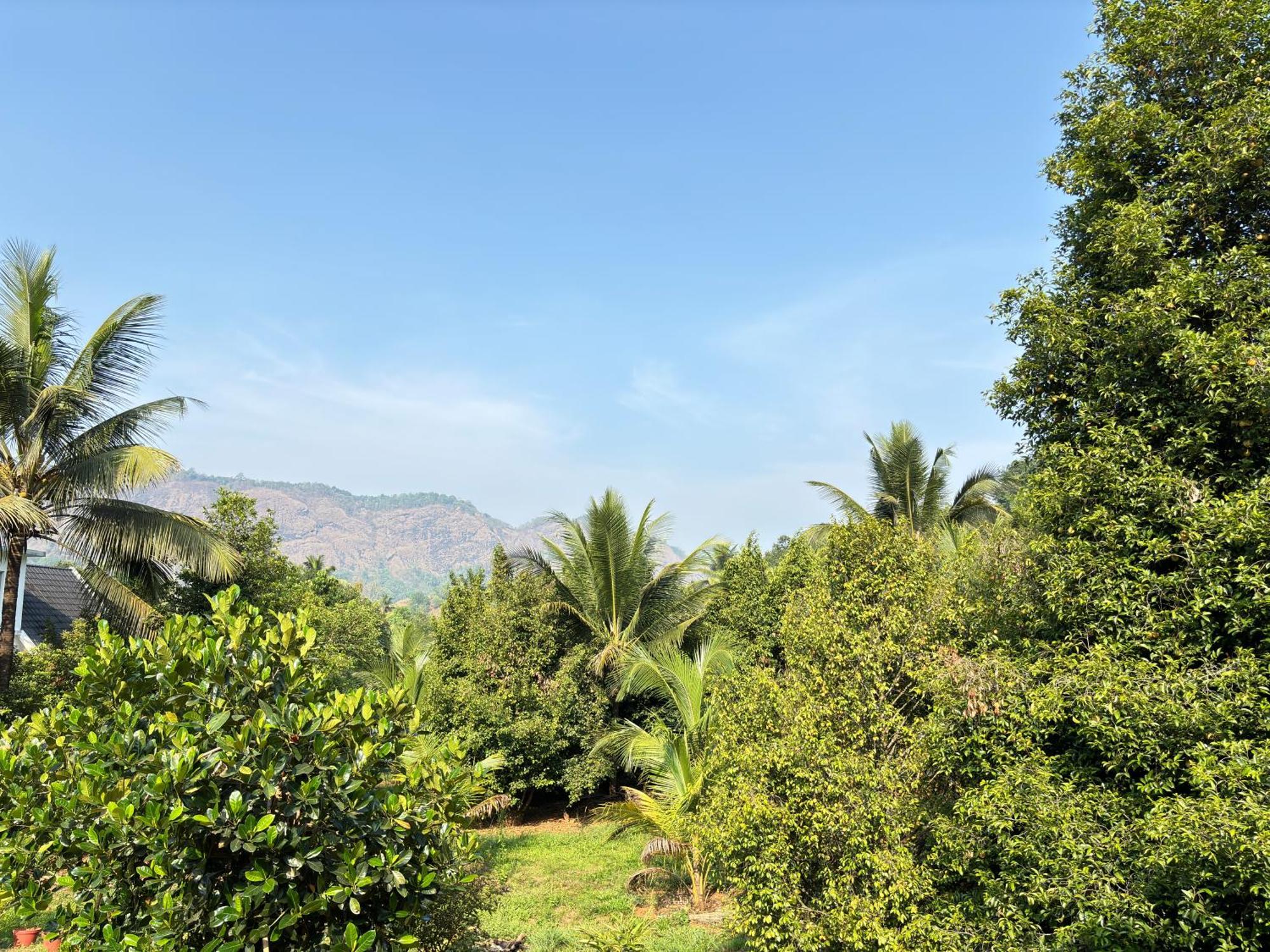 Calm Shack - 2 Bedroom-Boutique Farm Stay Munnar Exterior photo